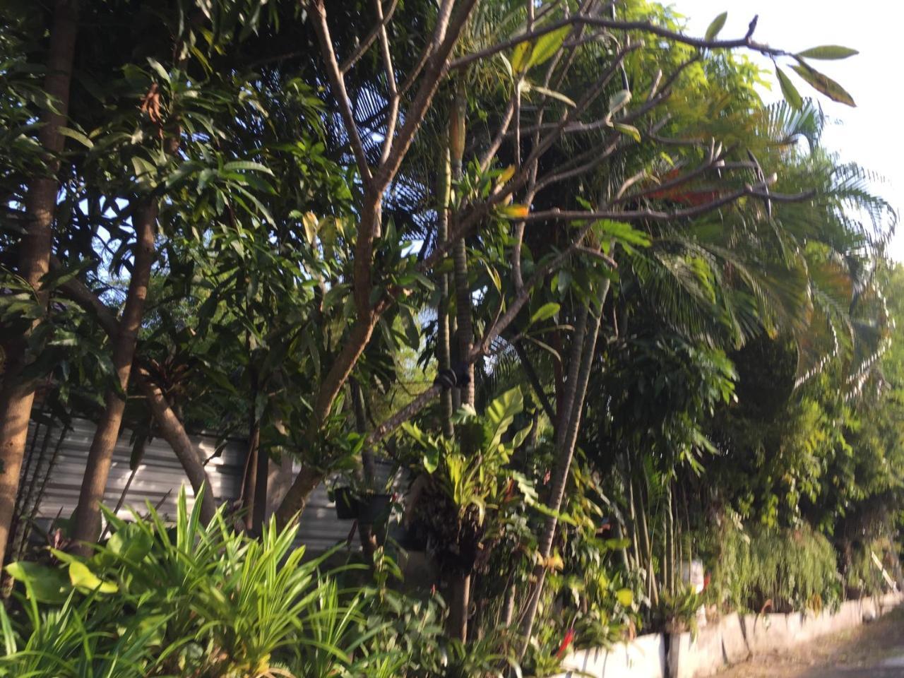Nan Inn Bungalow Karon Exteriér fotografie